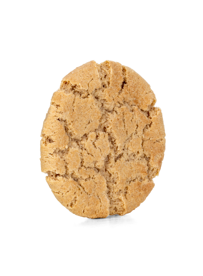 Picture of Ziggi's Eats and Treats - Snickerdoodle Cookie