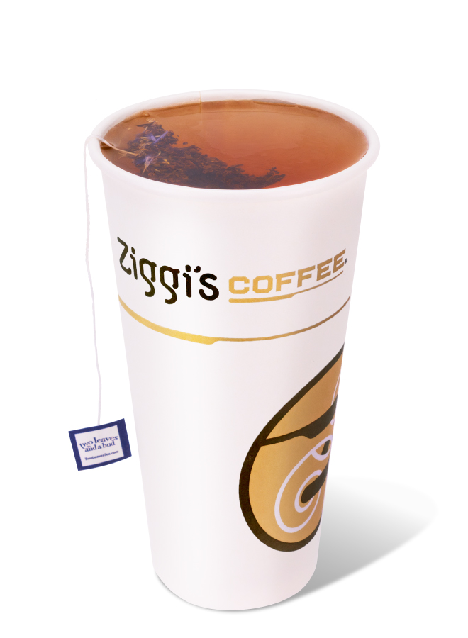 Picture of Ziggi's Hot Tea & Cocoa - Hot Mountain High Chai Tea